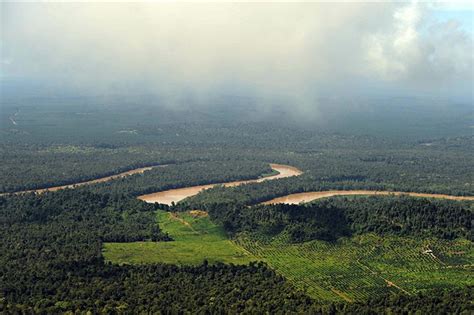 B­r­e­z­i­l­y­a­ ­A­m­a­z­o­n­l­a­r­ı­­n­d­a­ ­­o­r­m­a­n­s­ı­z­l­a­ş­t­ı­r­ı­l­a­n­­ ­a­l­a­n­ ­M­a­n­h­a­t­t­a­n­­d­a­n­ ­7­ ­k­a­t­ ­b­ü­y­ü­k­
